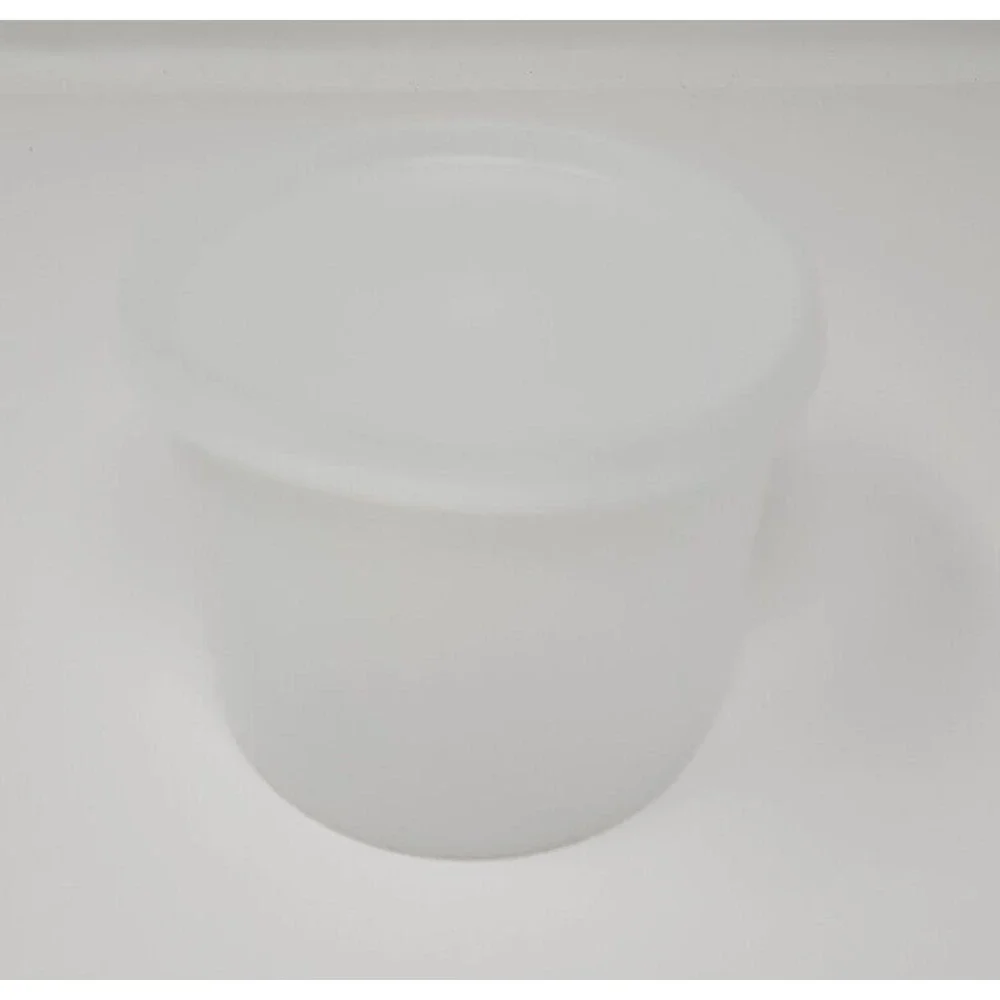 Vintage Tupperware #250-8 container and‎ 215-26 lid 4 inch round U180